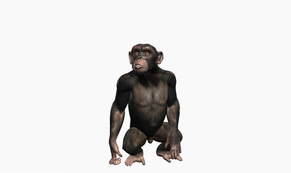 A 3D chimpanzee model, viewable with descriptions and labels in multiple languages