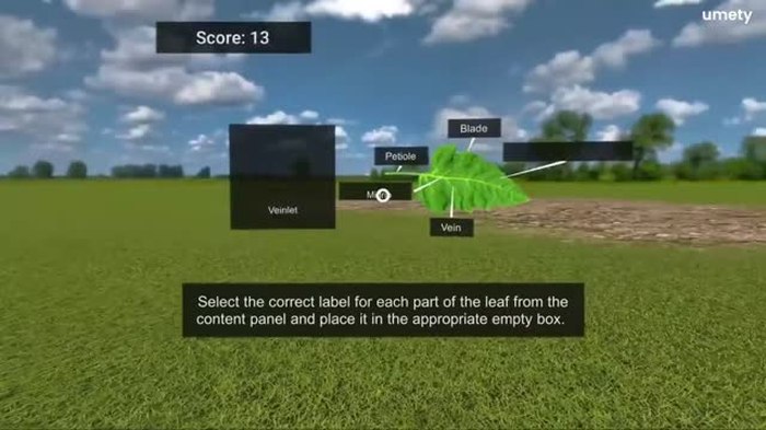 Still from a Umety STEM biology demo, labeling the parts of a leaf